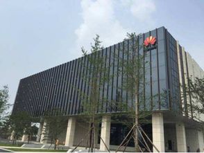 众巨头入驻襄阳云谷，金融外包服务绘就城市未来新蓝图