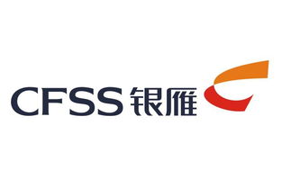 金融外包服务 看准网上的机遇与风险分析